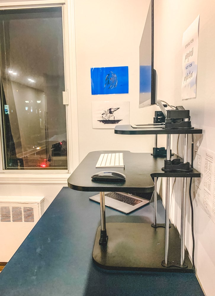 Anthrodesk Standing Desk