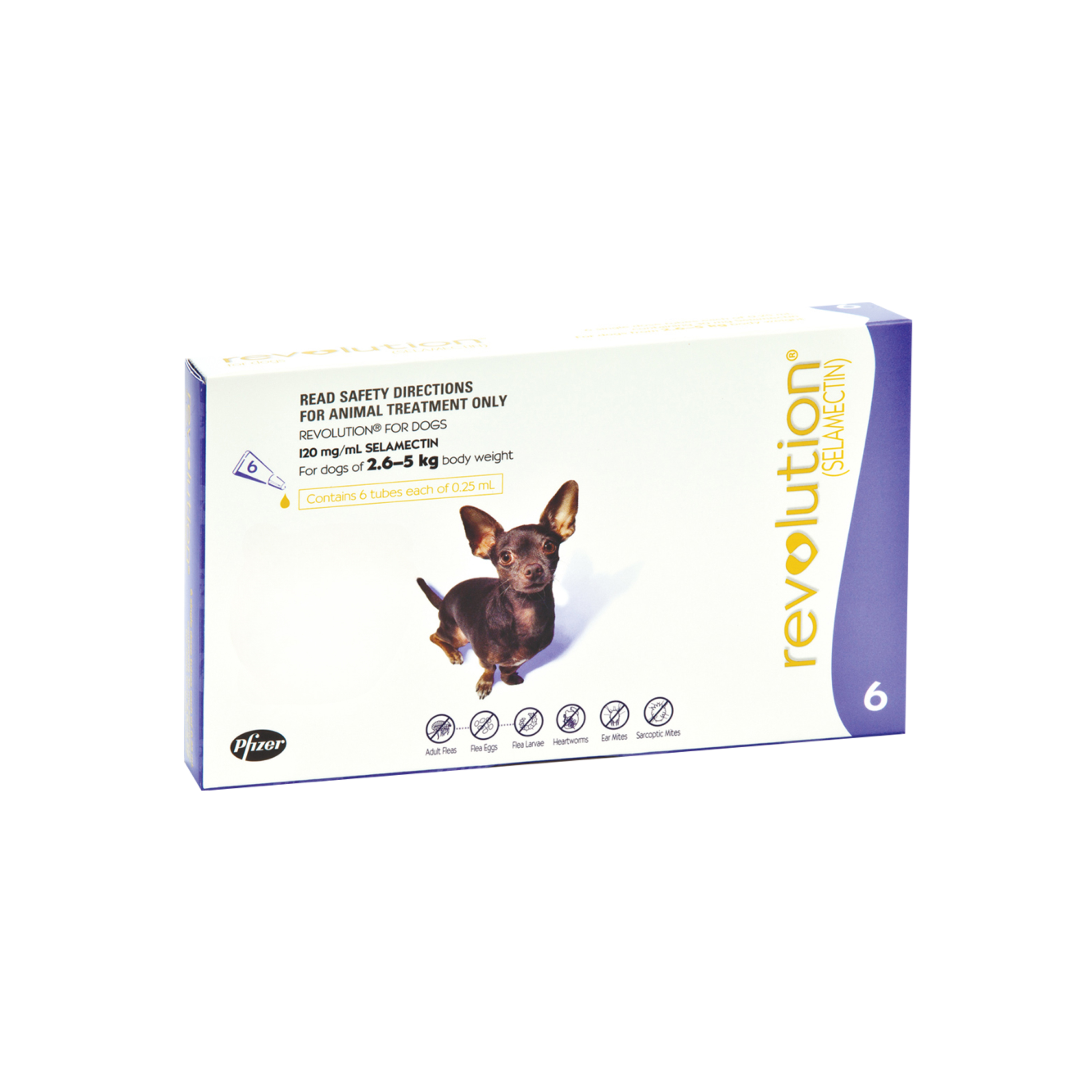 Revolution-6-for-Dog.jpg
