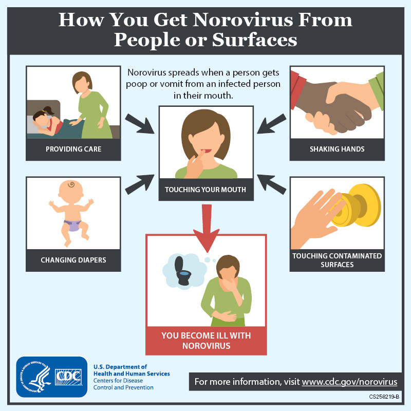 how-get-norovirus-lg.jpg