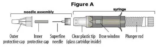 caverject-06.jpg
