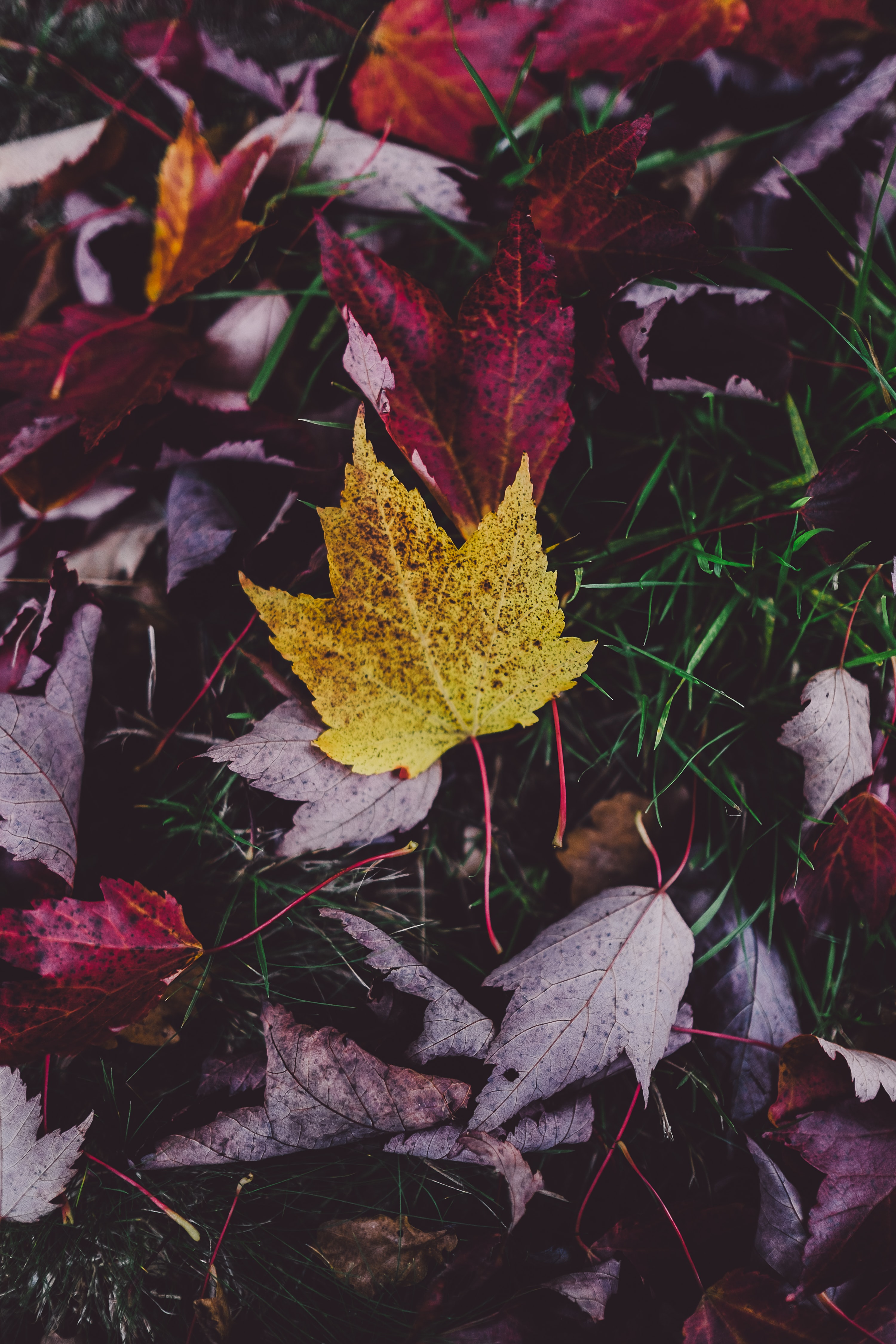 blog-feature-media-cmbl59cwt3bw507u07xsi5myj