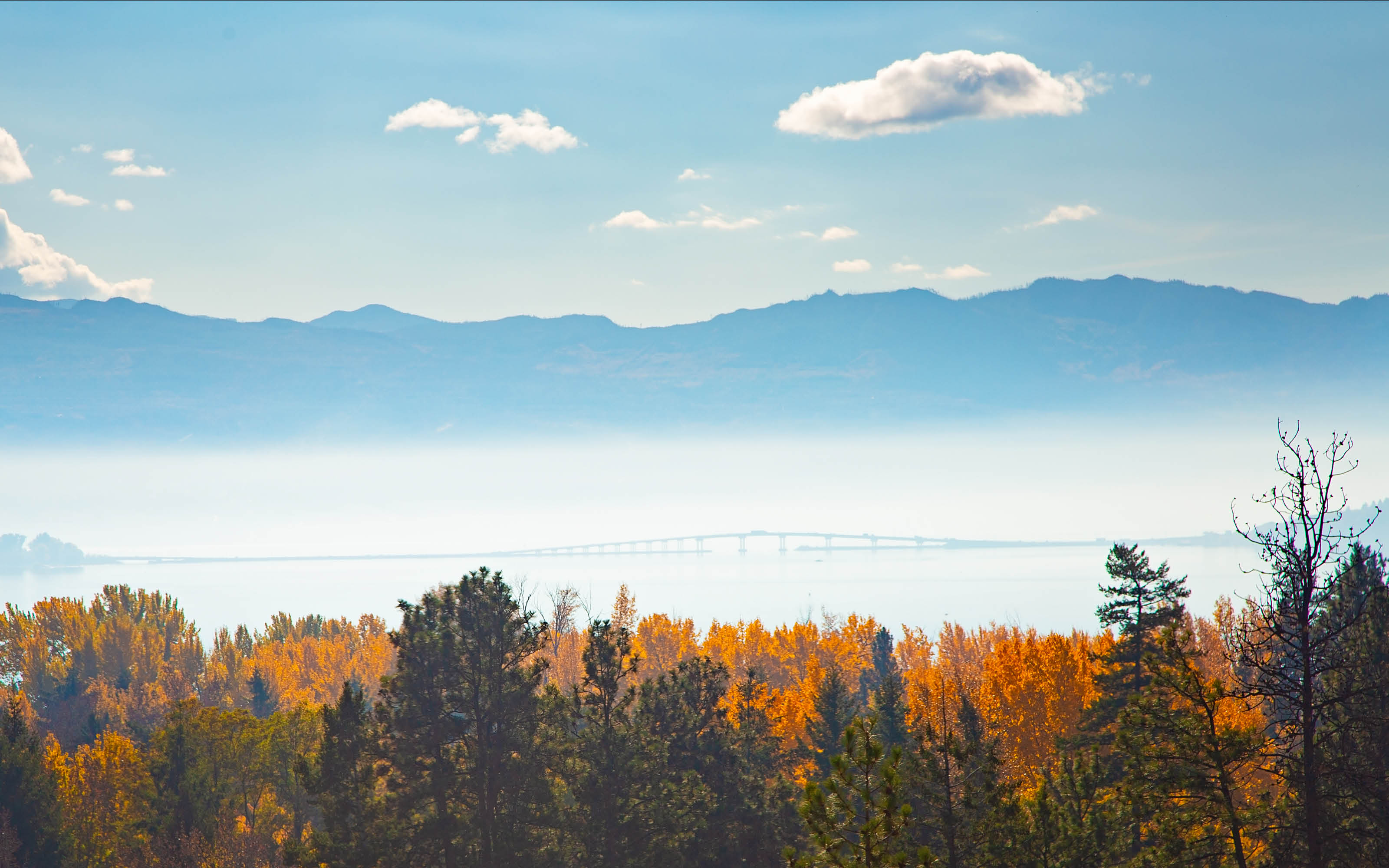 blog-feature-media-cmhjk6vw87ny907sodbc1cvrr