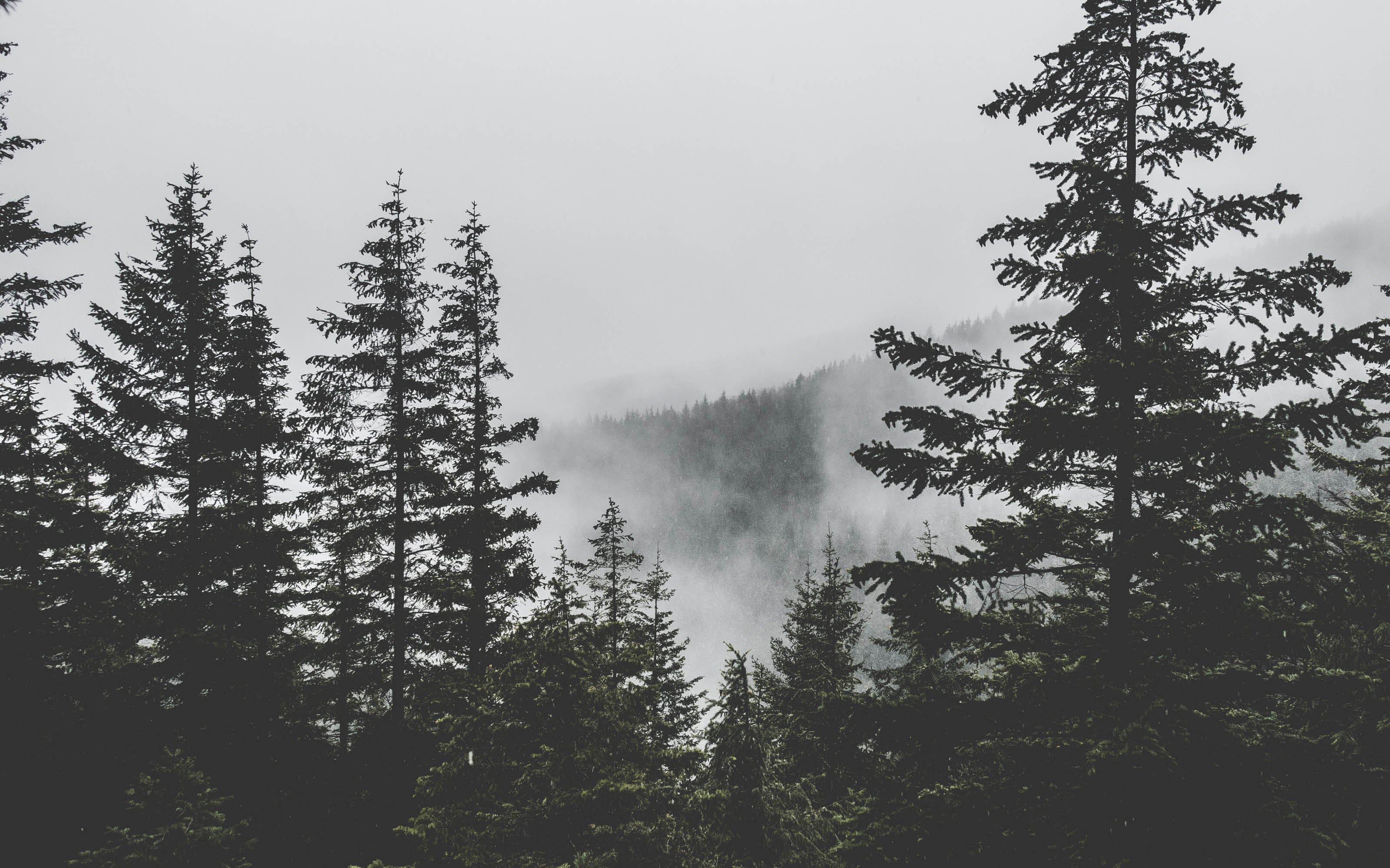 blog-feature-media-cmhxzvd6d1jpo07u5gw7rf2uz