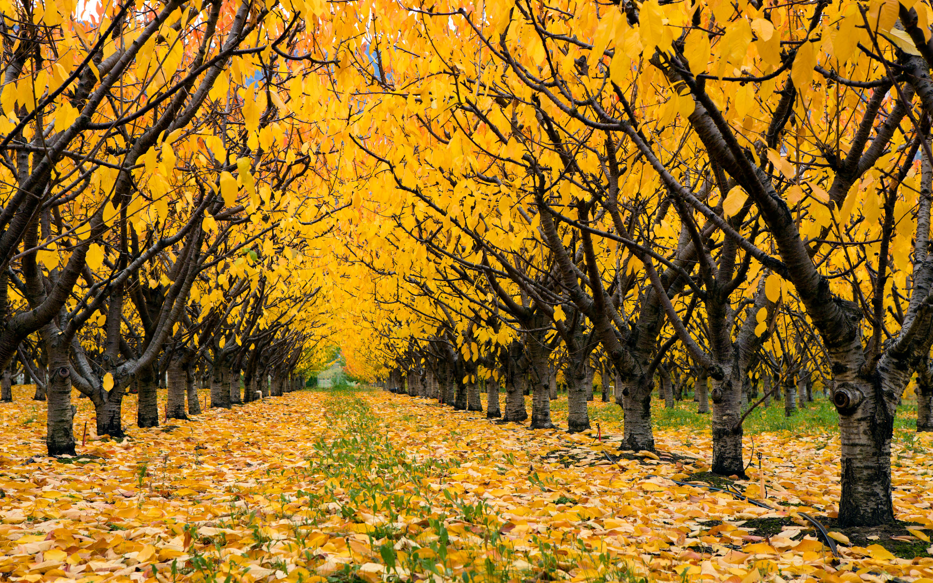 blog-feature-media-cmi3tl3zj7ir008u0yc6885lv