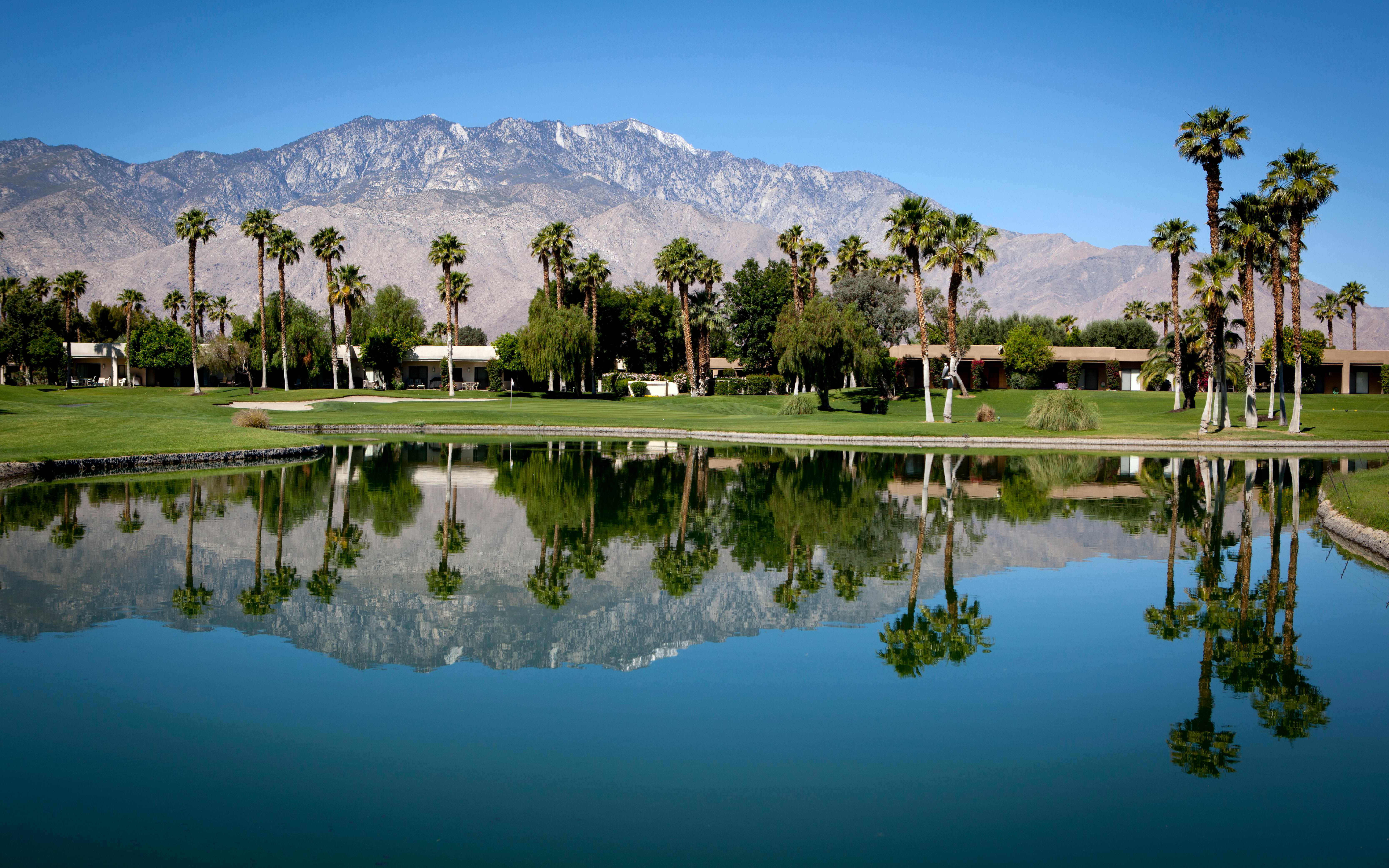 blog-feature-media-cmip13h480zeg07skq17fwykl