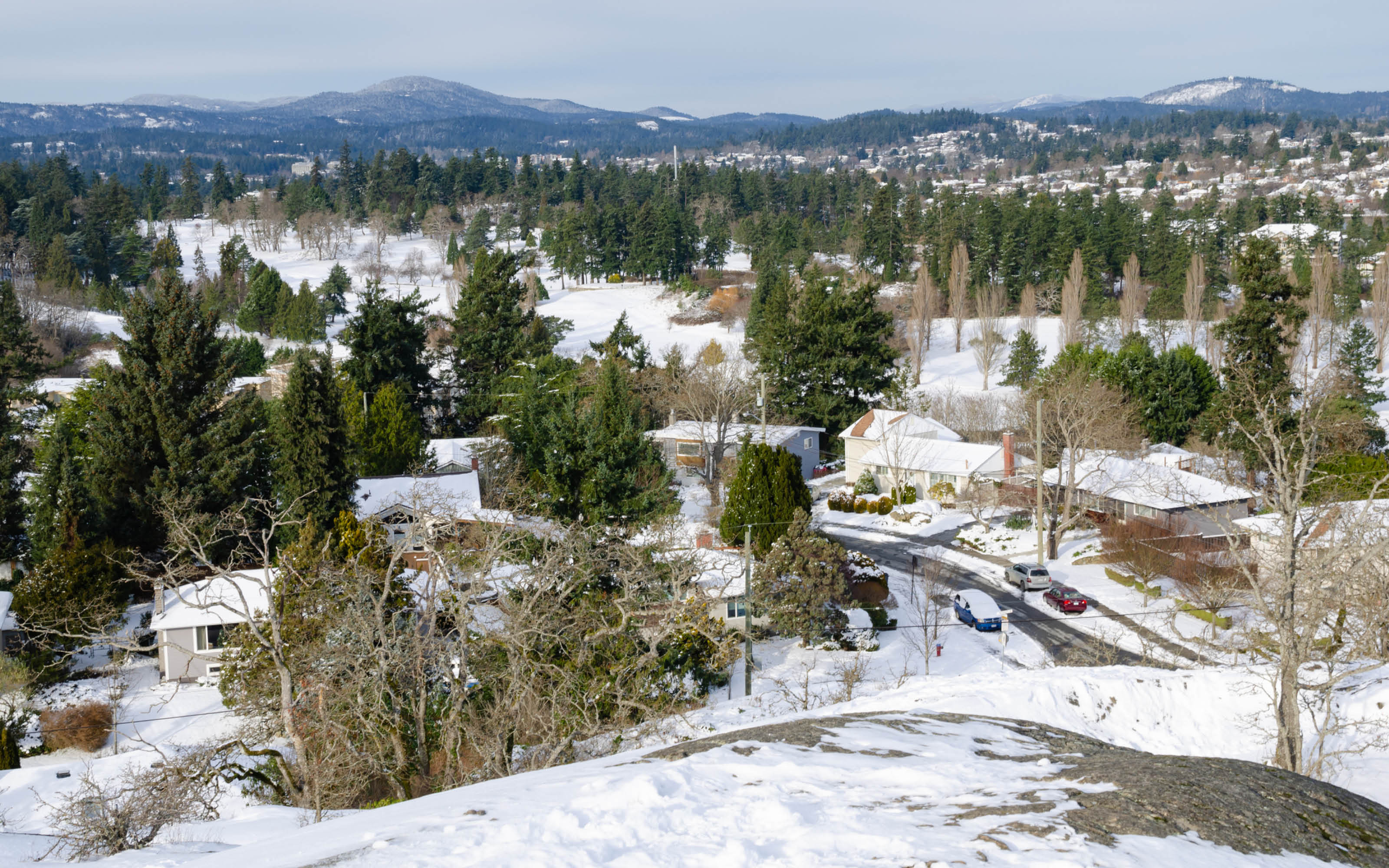 blog-feature-media-cmiz3oedu1vln07u9mgksduif