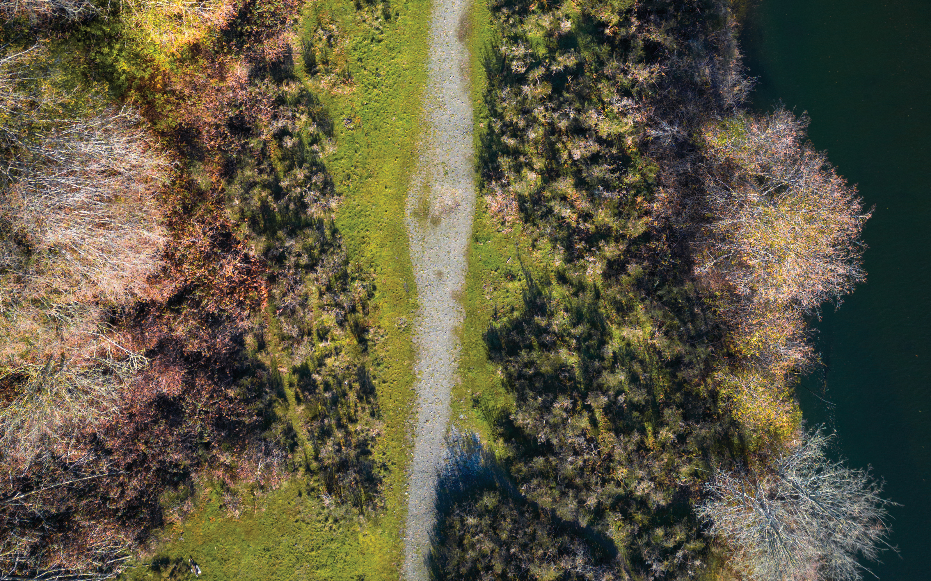 blog-feature-media-cml6xqyd25lbi06u6jrc5gqhg