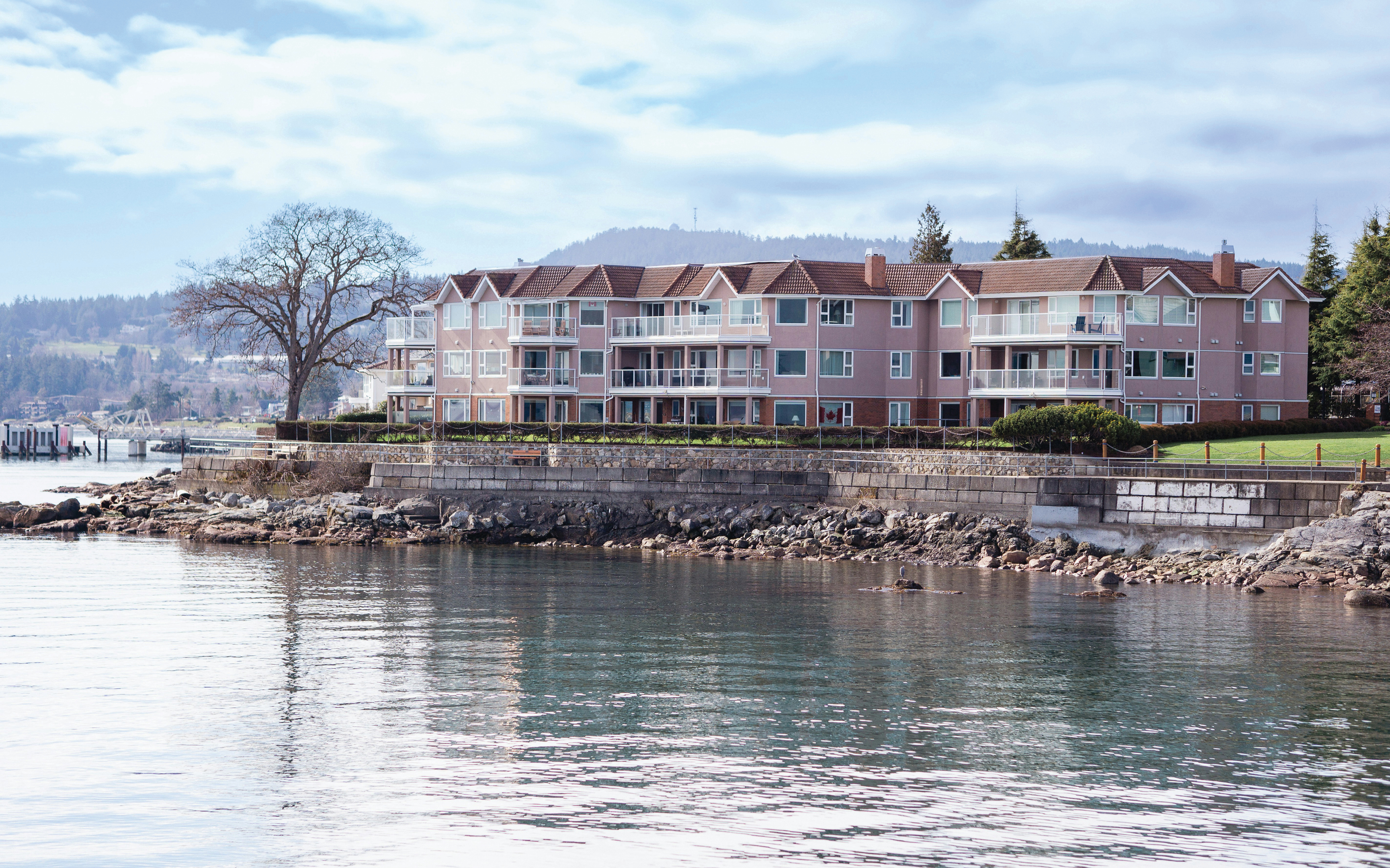 blog-feature-media-cmlbm8cc61e5007sk5cdajbse