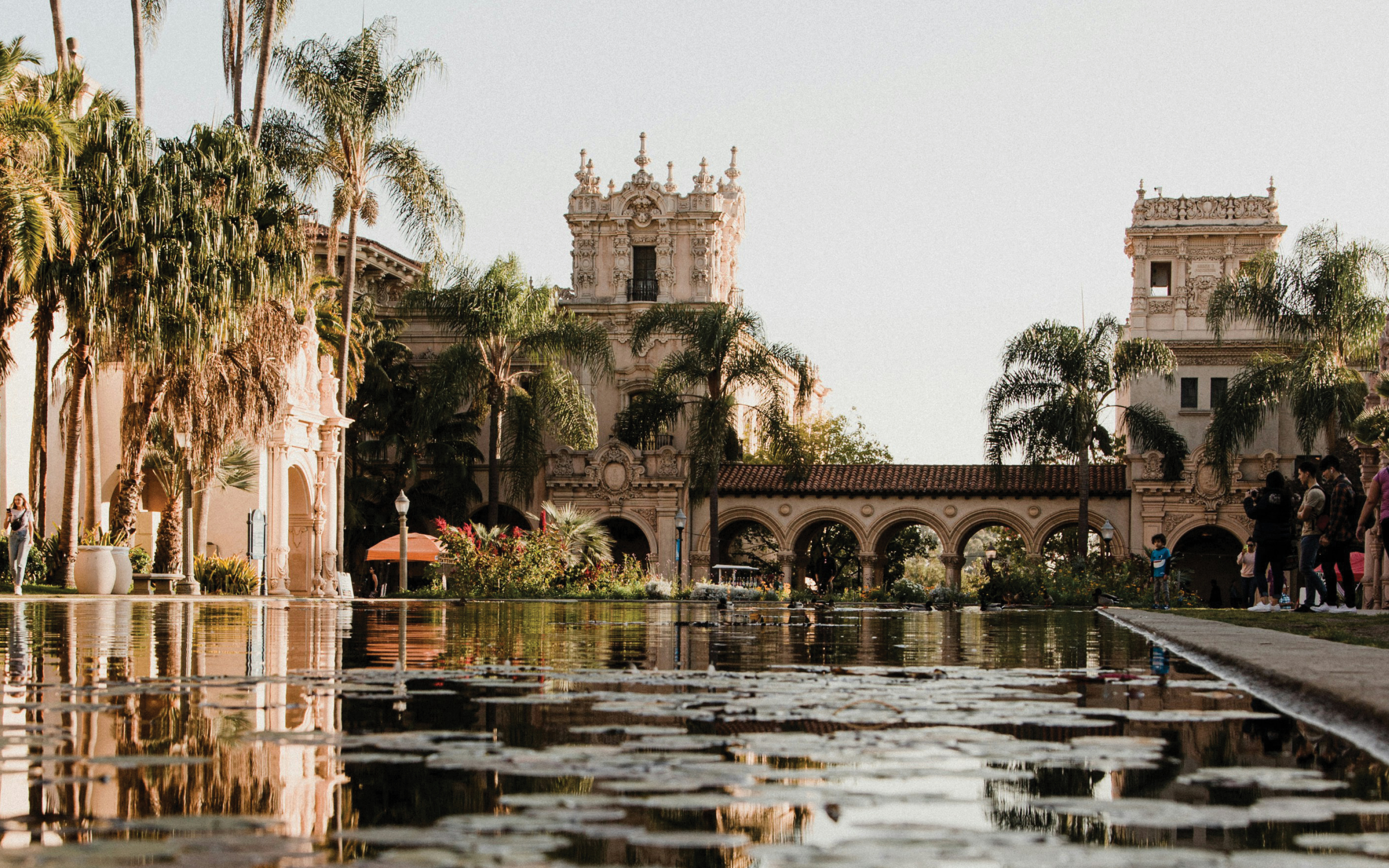 blog-feature-media-cmlk47fio9a2707u5wbcq3tuh