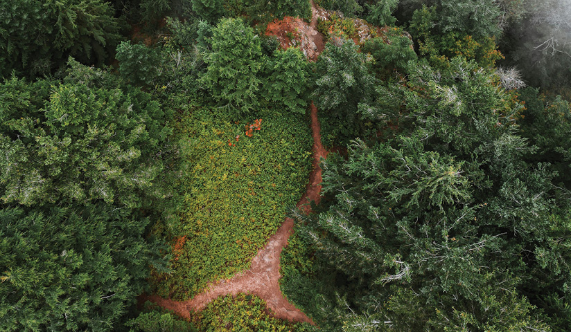 blog-feature-media-cmm55xsi44llg06u1a186n4ww