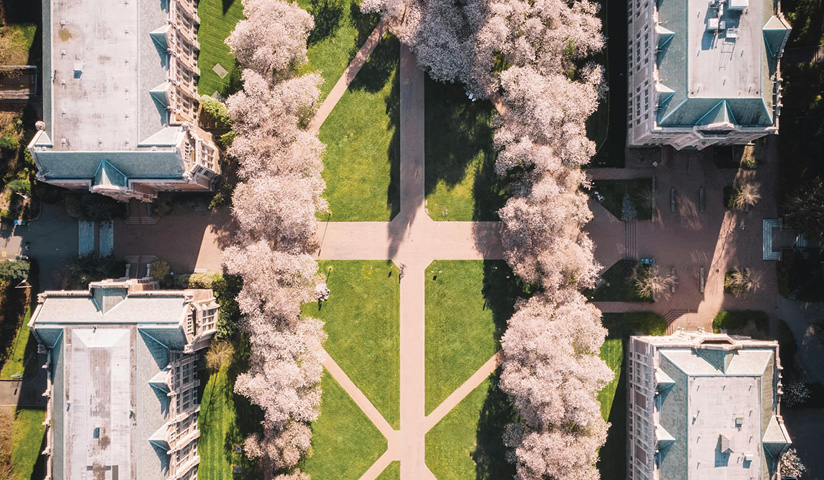 blog-feature-media-cmndqwdx72naa07srvrvj6bcr