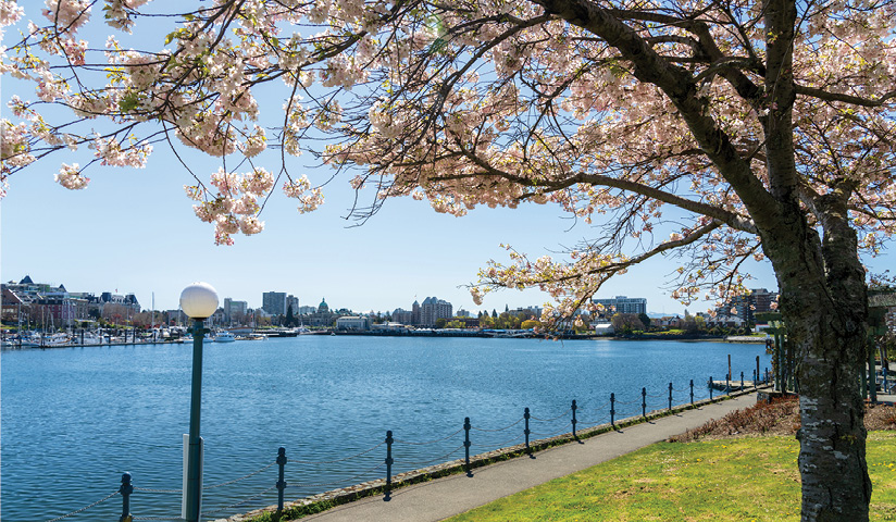 blog-feature-media-cmndr0h752lf607u3jctcxns7