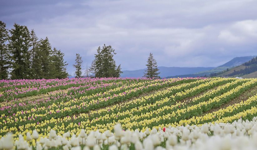 blog-feature-media-cmndr7hv82m1q07u32r5jpa4a