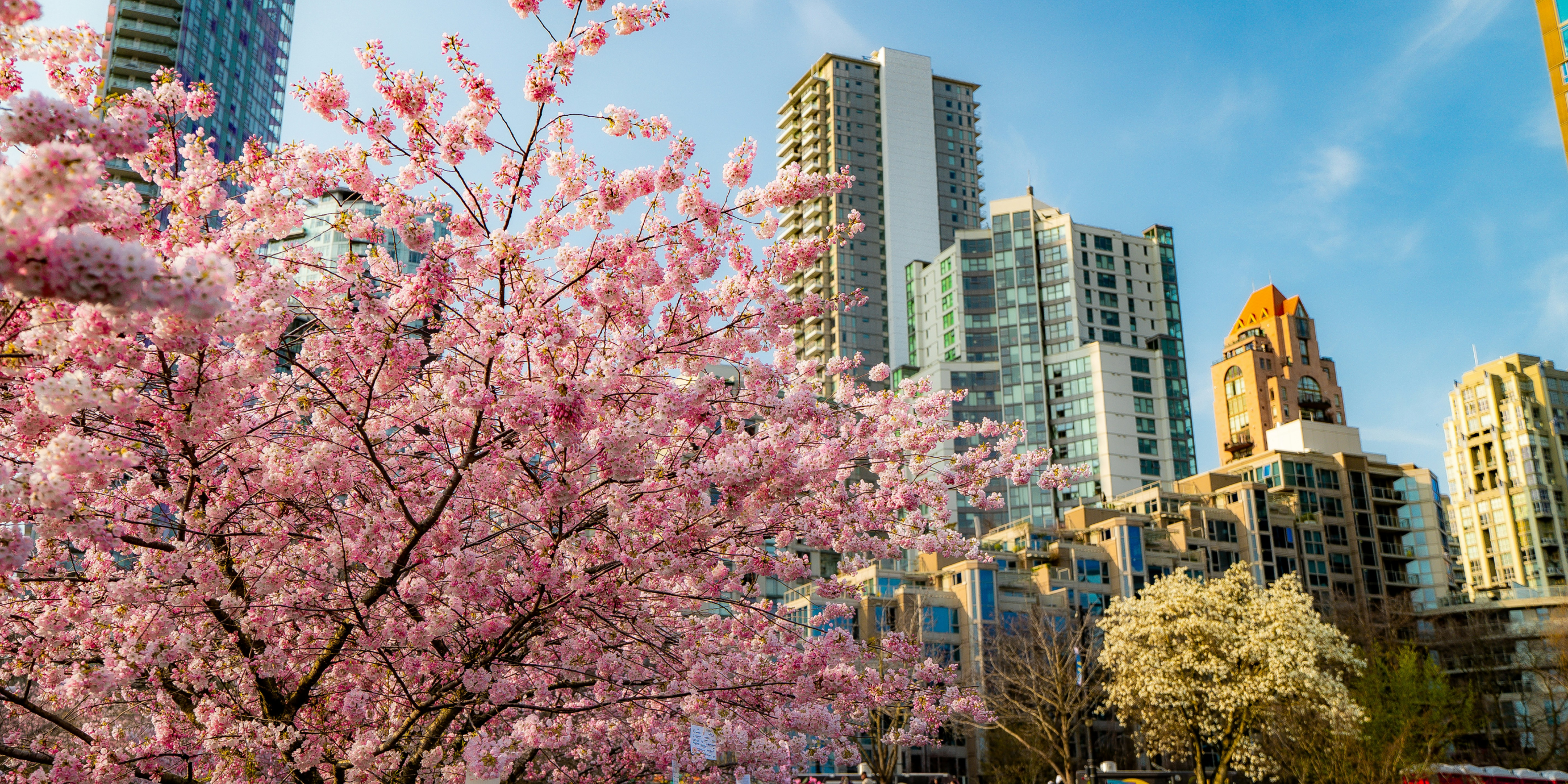 blog-feature-media-cmnxr4vty3wtb07u2npw2idv5