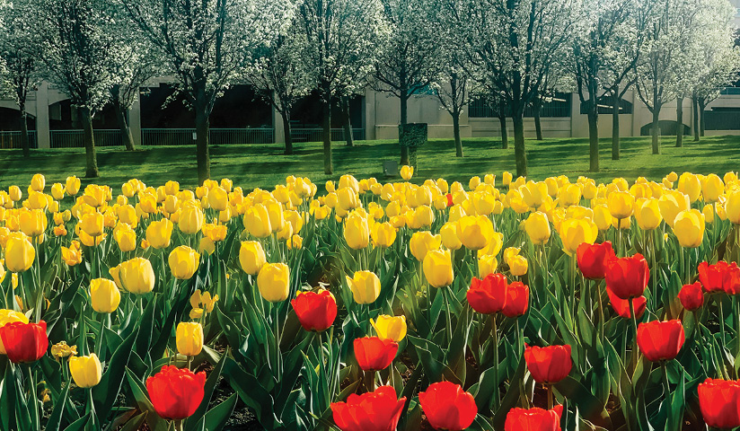 blog-feature-media-cmnytjxf6v5aw07u2li0krai2