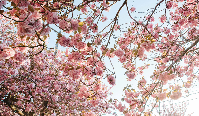 first-featured-report-image