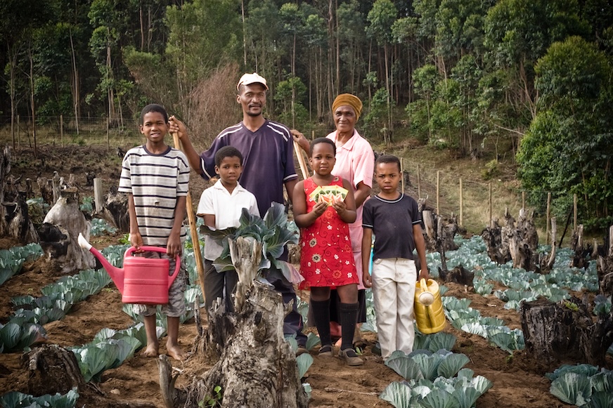 A family of six stands in a garden amid cabbage plants.