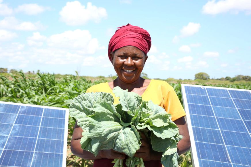A woman in a red headdress smiles brightly as she stands outdoors in a field holding a large bundle of leafy green vegetables. Two solar panels are positioned o