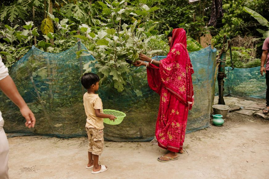 A Bangladeshi woman wearing a traditional outfit is gently looking at a tree branch as her young son holds a green plastic bowl nearby. (Bangladesh, 2023)