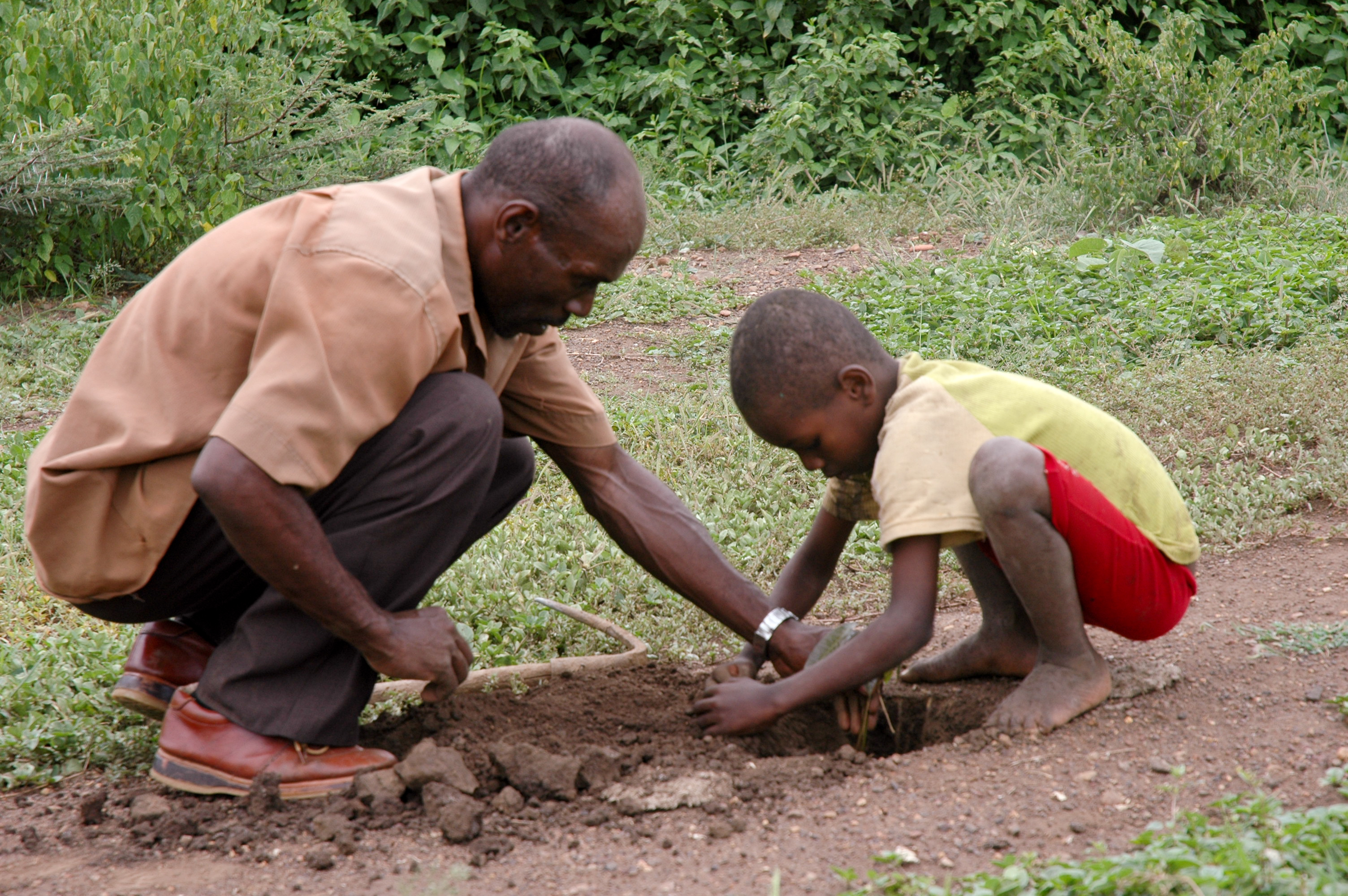 A man and child help plant a tree to offset the impact of deforestation in Ethiopia