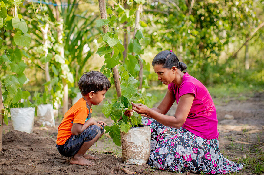 A mother and son tend to their garden together, inspecting a healthy climbing vine supported by a trellis, showcasing sustainable agricultural techniques.