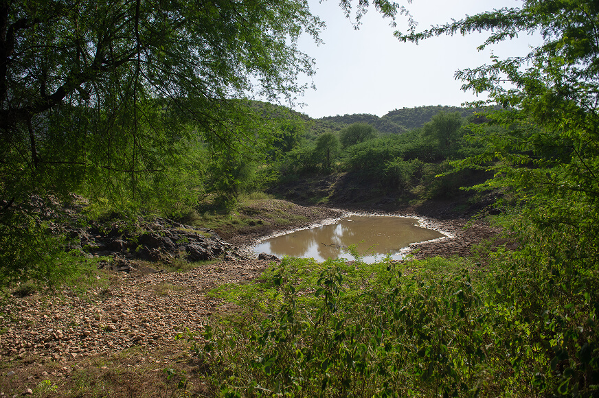 Story photo