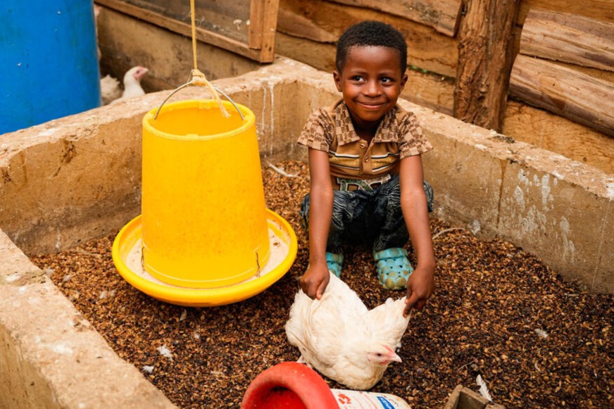 A primary-school-aged boy hunches beside a chicken while smiling.
