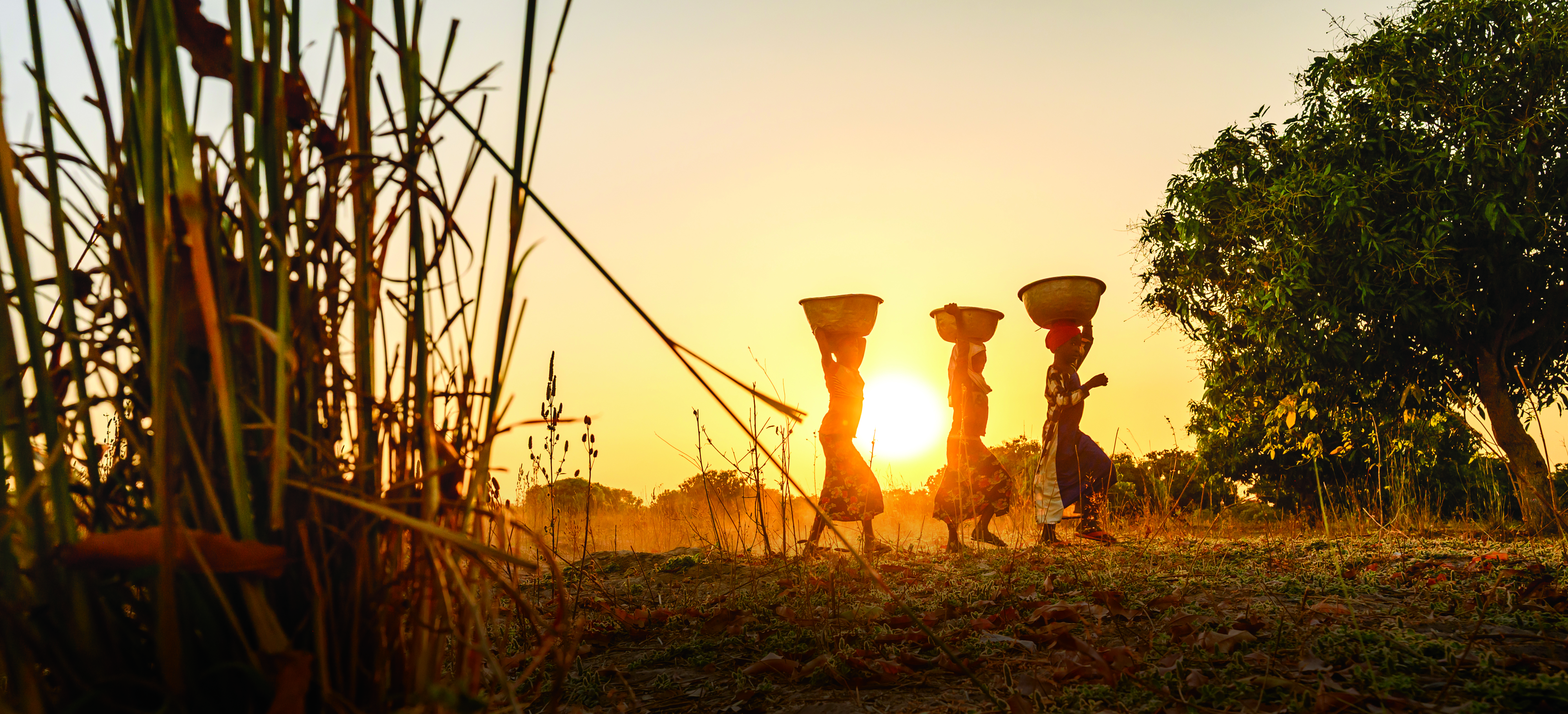 Girls walk carrying buckets of water on their head with the sun setting behind them