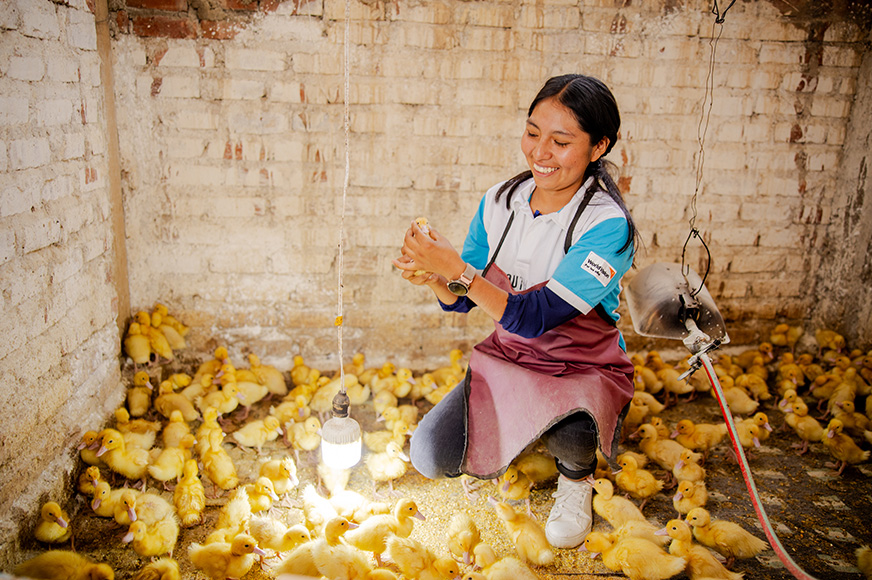 A young woman clutches a tiny chick in her hands, as she crouches in a chicken coop.