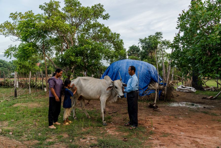 In Cambodia, a mother, father and daughter stand close to their family cow.