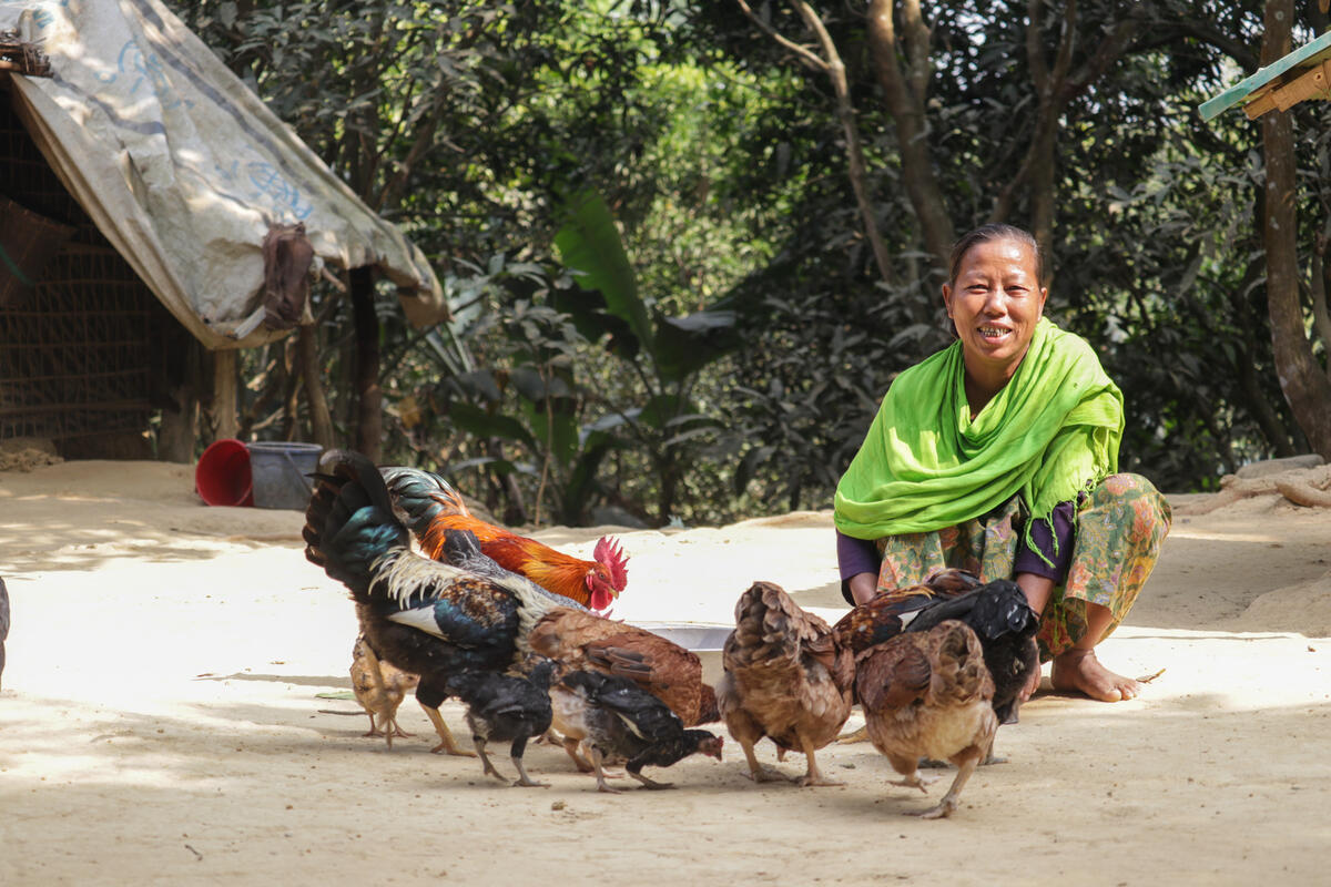 In Cox's Bazar, Bangladesh, a woman wearing a vibrant green scarf crouches on the ground to feed a flock of chickens.