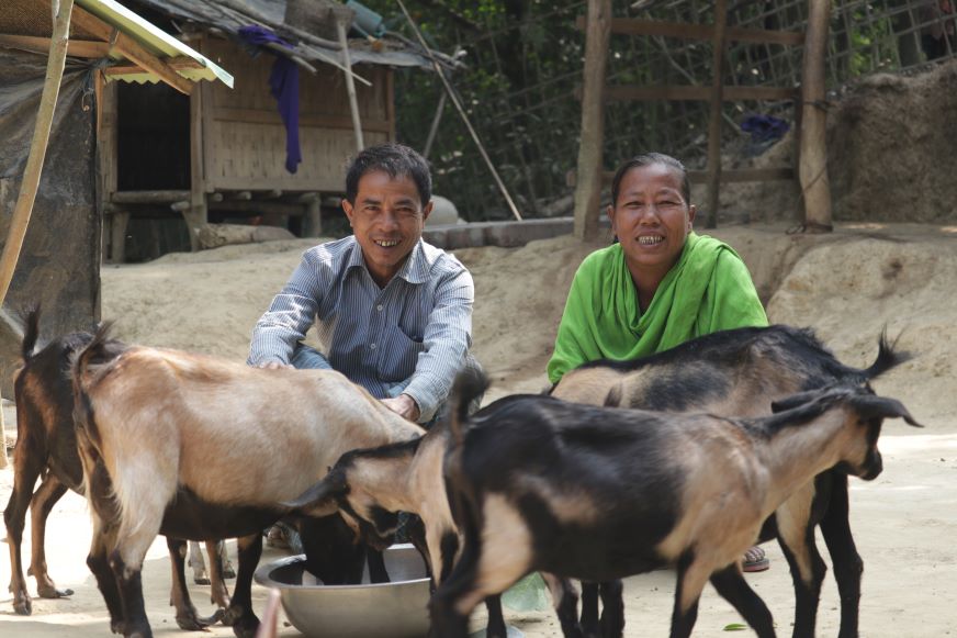 A husband and wife in Cox's Bazar, Bangladesh, pose smiling with their herd of goats.