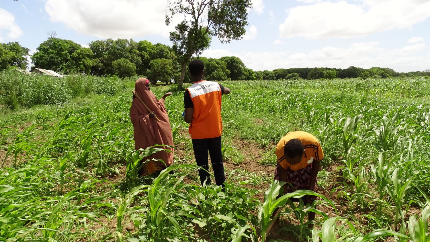 In Somalia, a woman wearing a hijab stands in a farm field, speaking to a man in a World Vision vest.