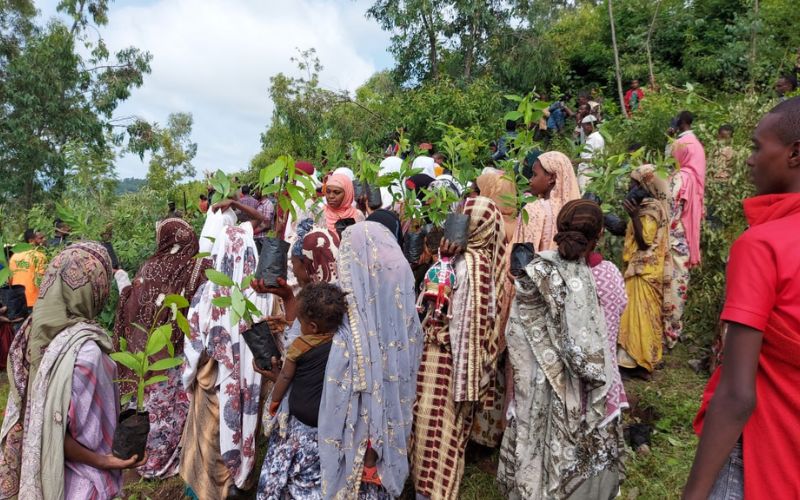 WVC_gender-equality_RESILIENT-WE-project_Ethiopia
