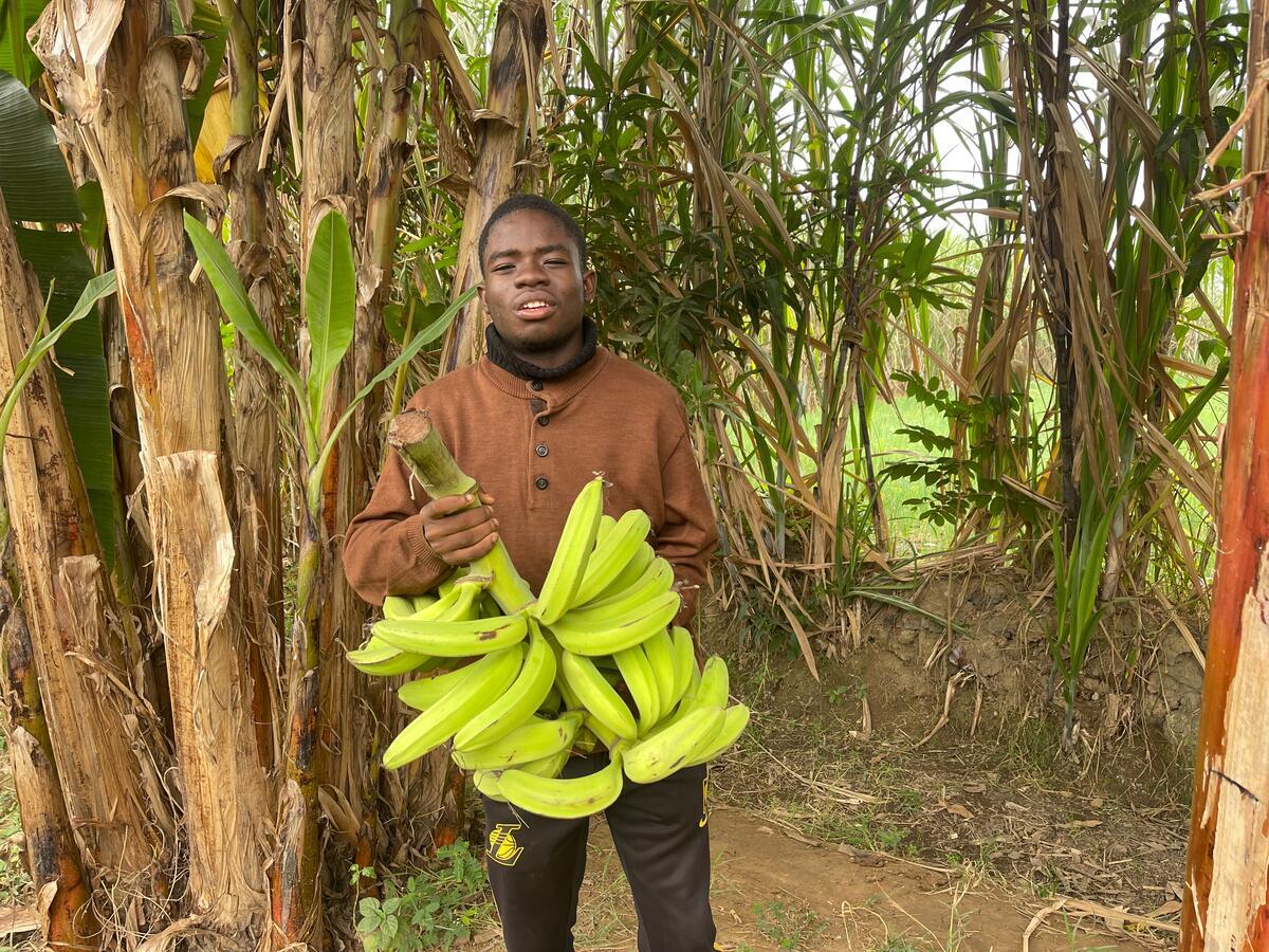 Boy-holding-banana-bunch-banana farming into educational opportunity