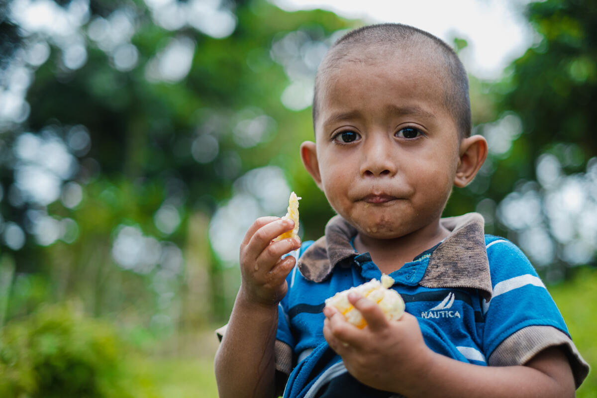 A young boy eats a baked good while standing outdoors.