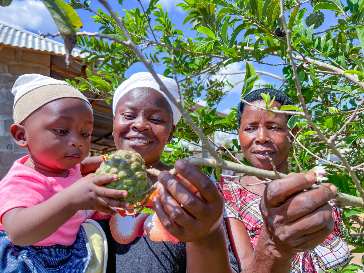 Two women pick fruit from a tree, while a toddler reaches to grasp it.