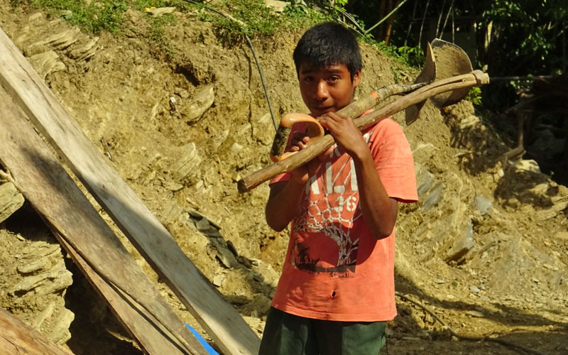 child-labour-risky-grocery-mexico-coffee-boy-wood.