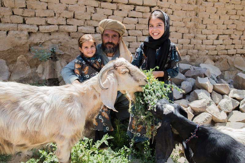 A girl with a headscarf smiles broadly toward the camera, as she holds a big bunch of grass for her goats to munch. Her father, sitting close-by with the toddle