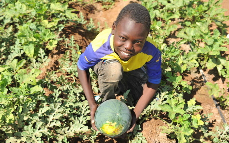 A boy smiles up at the camera. He holds a watermelon and is crouched in a field.