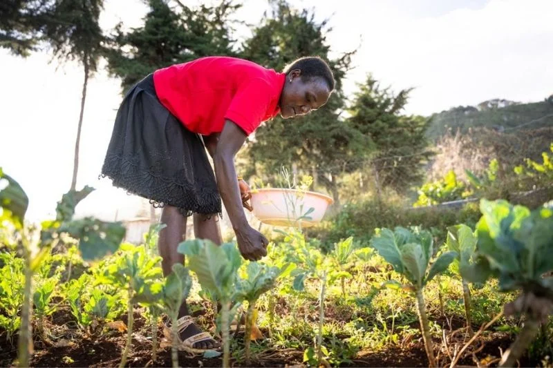   A woman grows nutritious food in a field.