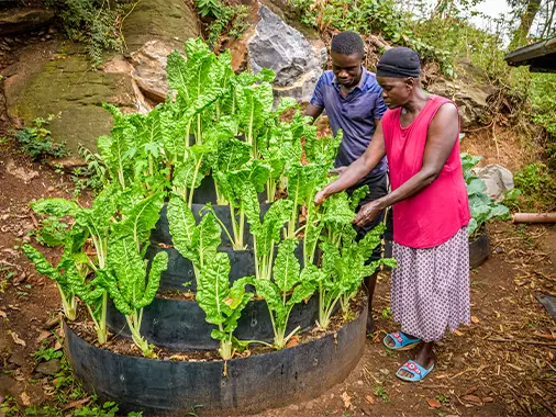 A woman and her son looking at leafy green vegetables growing in a raised garden bed.