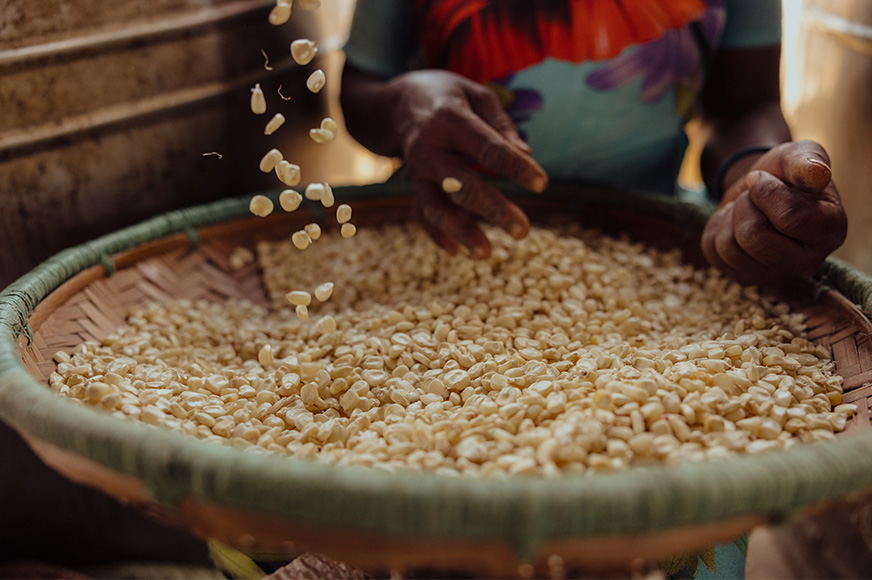 Une femme trie des grains de maïs séchés dans un grand bol.