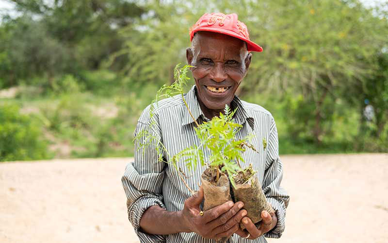 Un agriculteur d’un certain âge tient un jeune arbre dans ses mains.