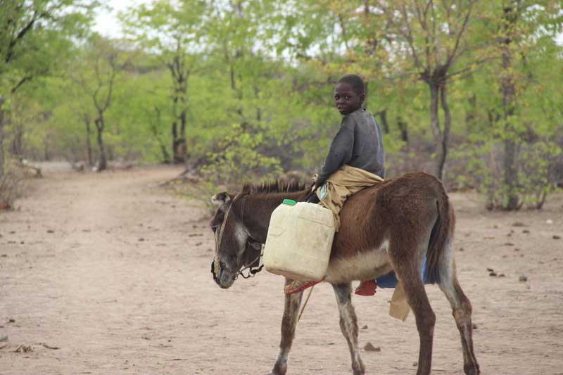Un adolescent à dos d’âne, transportant un contenant en plastique.