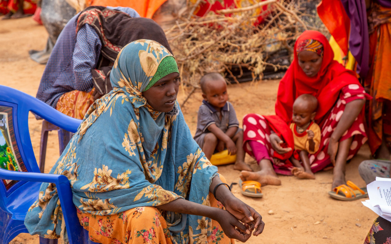 faits-sur-le-travail-des-enfants-en-Somalie-famille-Suldana