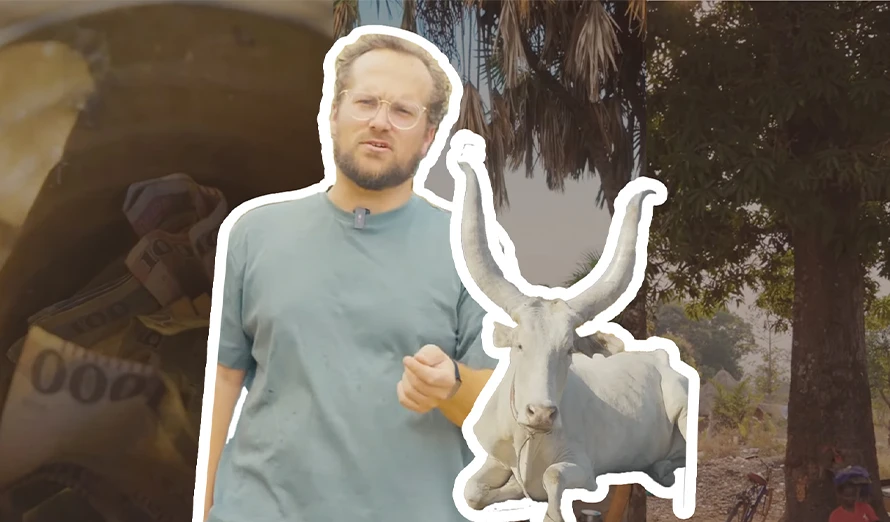 Image of a man speaking, next to a cow.