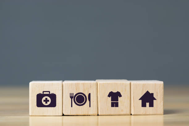 Four wooden blocks representing basic needs of healthcare, food, clothing and shelter.