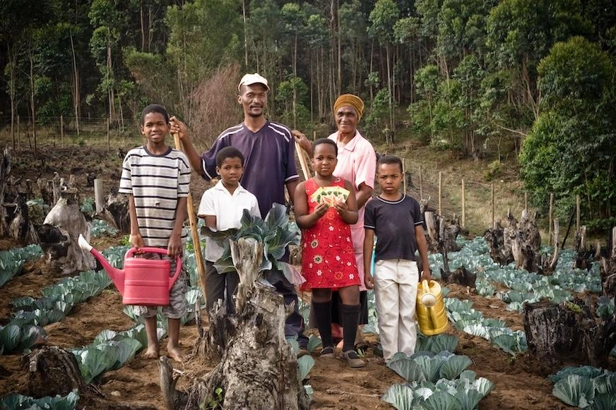 A family of six stands in a garden amid cabbage plants.