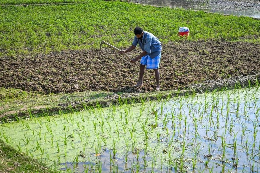 A person uses a tool to till the soil in a rice paddy in Bangladesh. (Bangladesh, 2025)